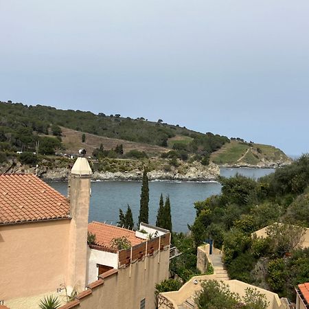 T3 Pieds Dans L'Eau Clim Wifi Terrasse Vue Mer Banyuls-sur-Mer Exterior foto