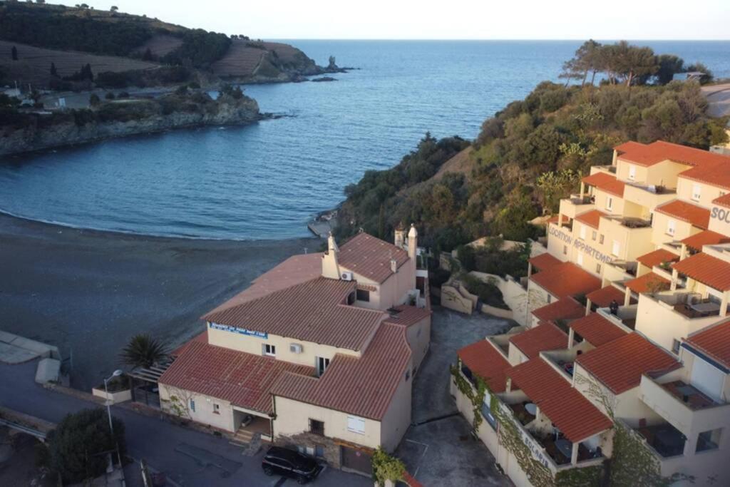 T3 Pieds Dans L'Eau Clim Wifi Terrasse Vue Mer Banyuls-sur-Mer Exterior foto