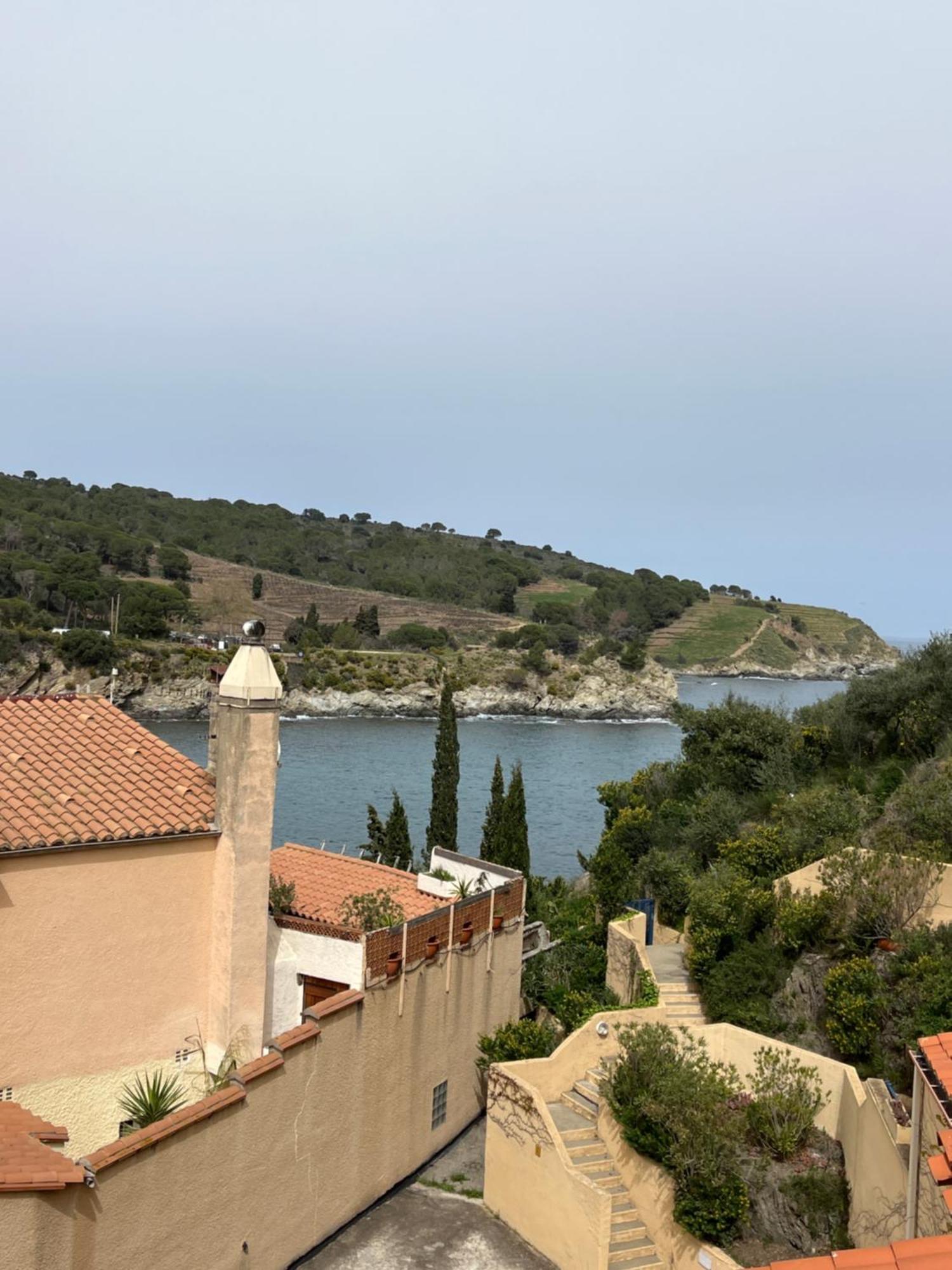 T3 Pieds Dans L'Eau Clim Wifi Terrasse Vue Mer Banyuls-sur-Mer Exterior foto